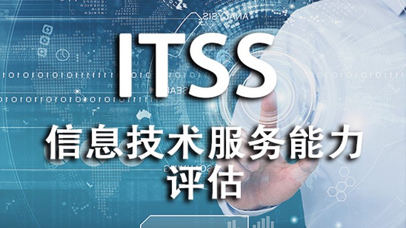 企业网络维护外包：成都企业的明智选择**