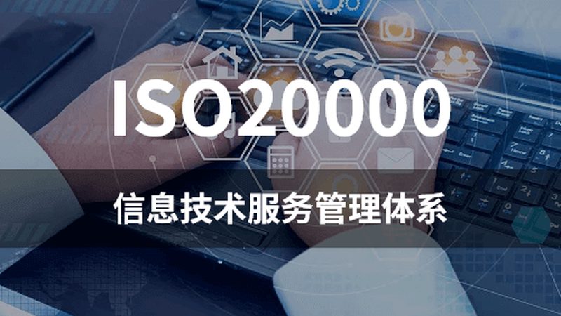 市场现状：价格战下的选择困境