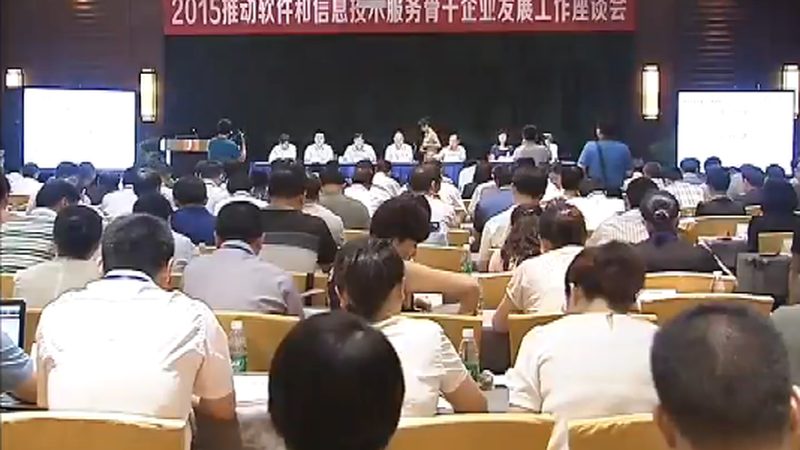 成都信息技术服务，成本构成解析与预算规划